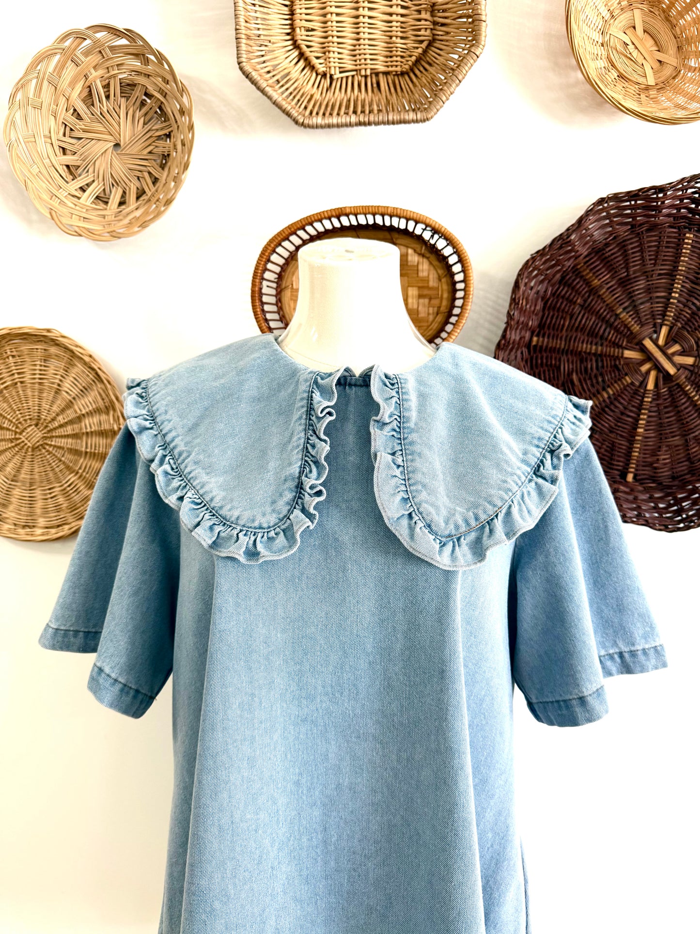 The Ravi Denim Collared Dress