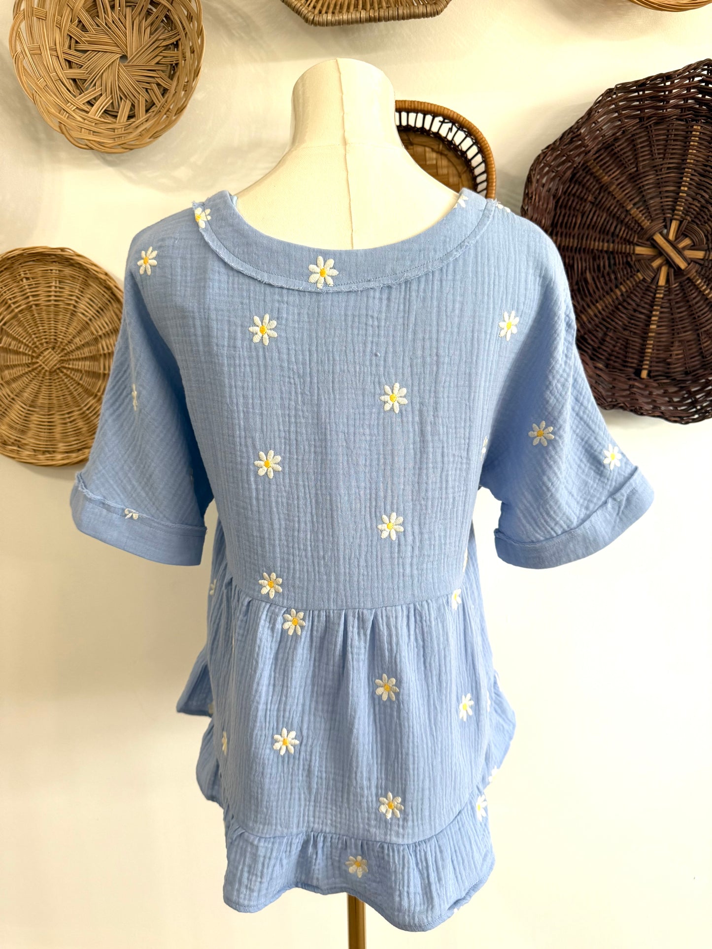 The Luca Gauze Daisy Embroidered Top in Baby Blue